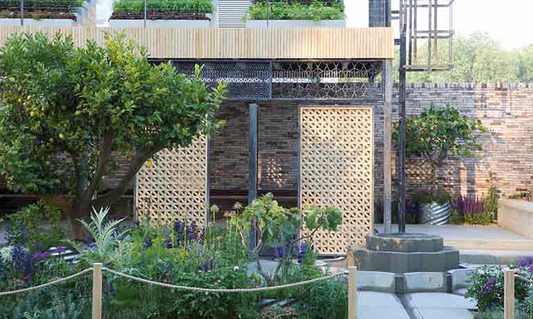 The Lemon Tree Trust garden at Chelsea Flower Show