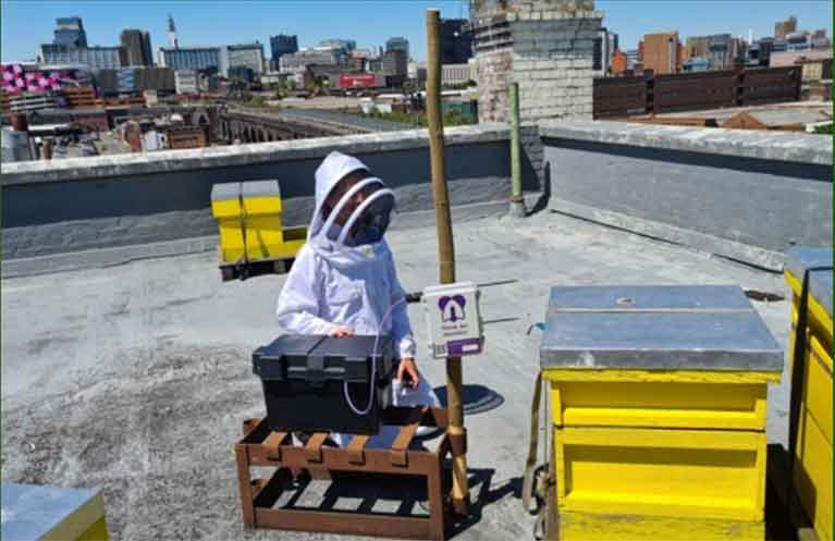 rooftop hives in Birmingham