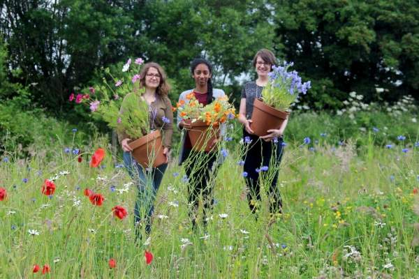 3 people walking in a field with wild flowers holding plants in pots