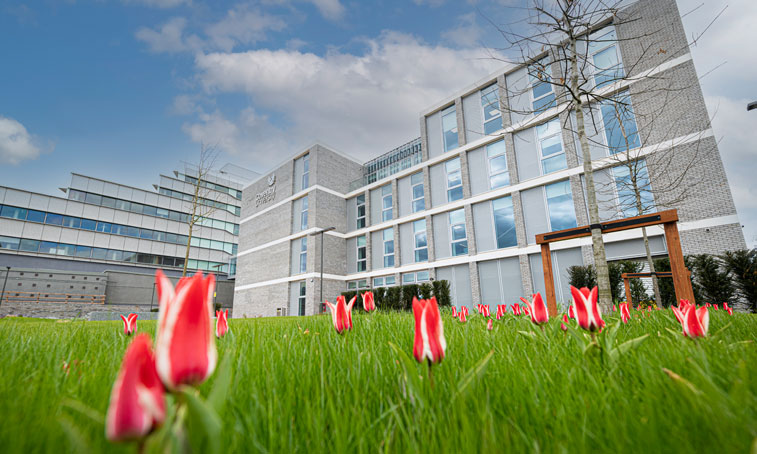 outside the Beatrice Shilling Building on a clear day