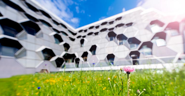 Exterior view of the engineering  building on a sunny day