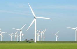 Wind turbines in a field