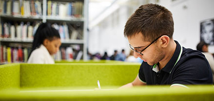 Studying in the Library