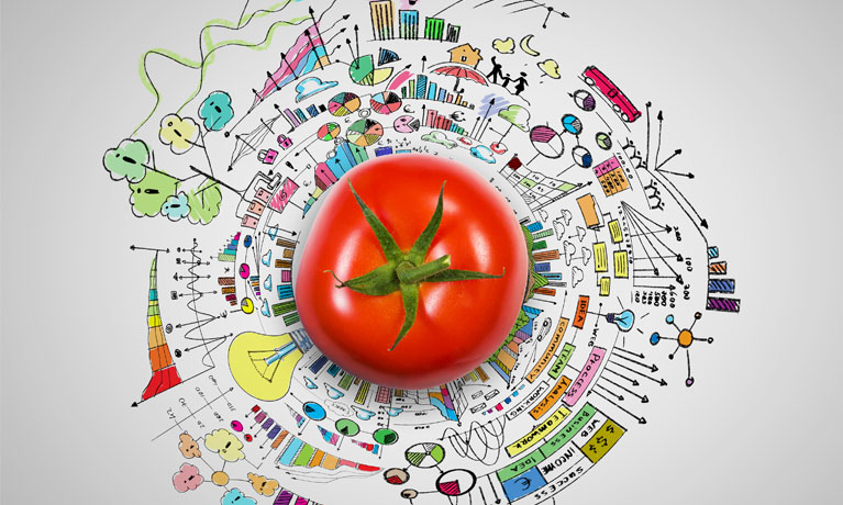 Top down view of a tomato.