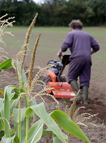 CAWR Postgraduate Research Brochure