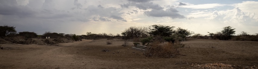 rural desert image with sparse bushes and dust tracks