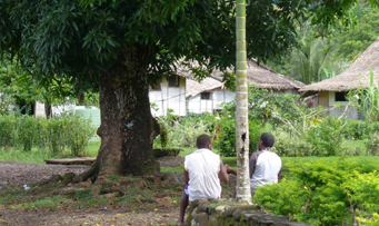 Two people sat down in front of a tree