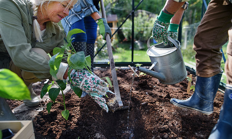 people leaning in to a gardening planter
