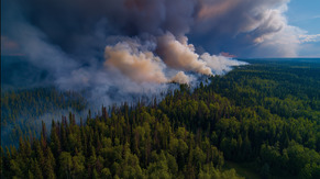 An image from the sky of a forest fire