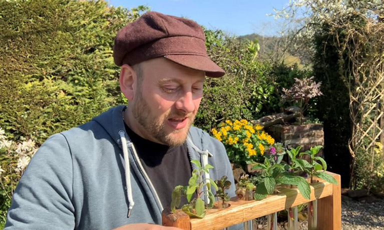 Man looking at tubes of young plants