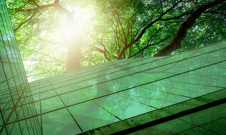 Green building beneath trees
