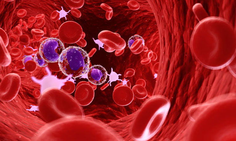 Red blood cells