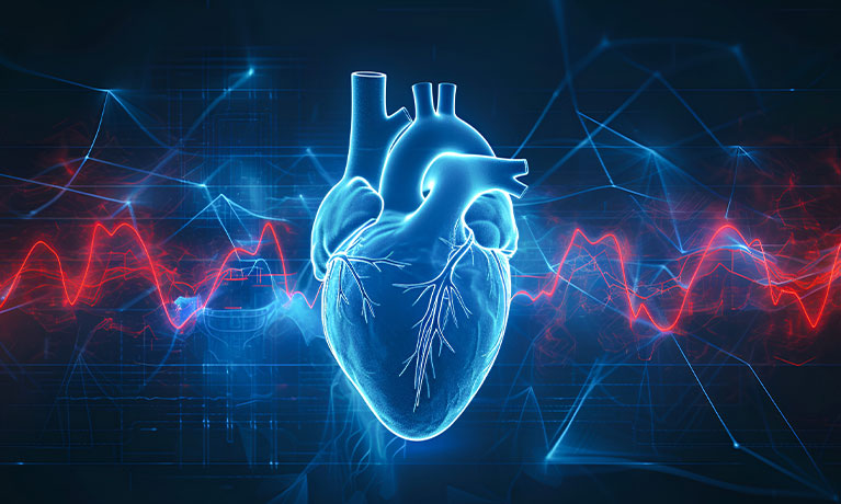Heart with blue digital red and blue cardiac pulse line
