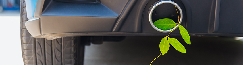 Green leaves in a car exhaust