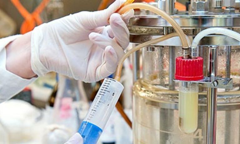 Bioleaching process in lab