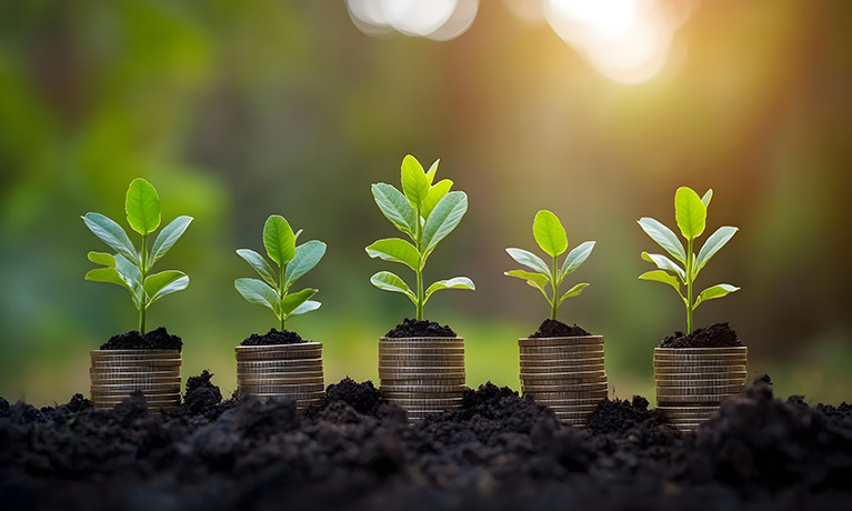 Wind turbines in a large field against a blue sky.