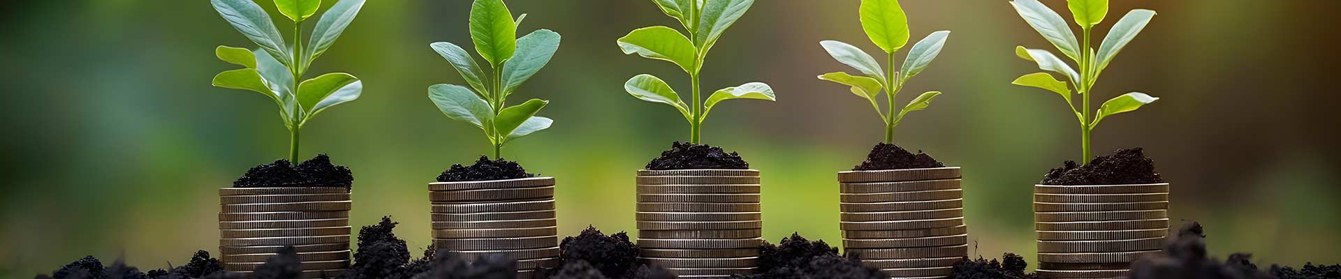Coins stacked in soil with plants growing through them