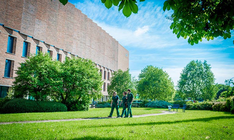 Alison Gingell Building on a sunny day