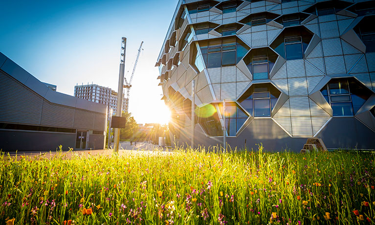 EEC building in sunlight