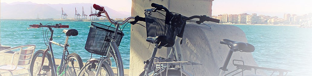 Multiple bikes on a seaside view background