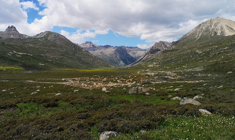 A landscape shot of the Tibetan Plateau showing grassy areas as well as stony hills