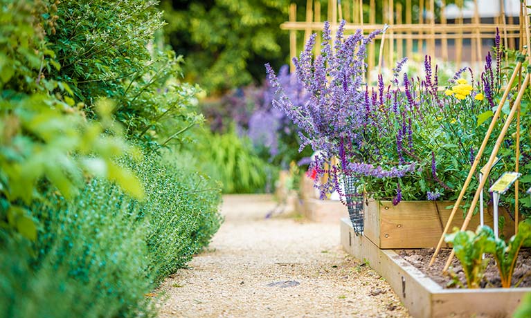 Coventry University's Edible Garden