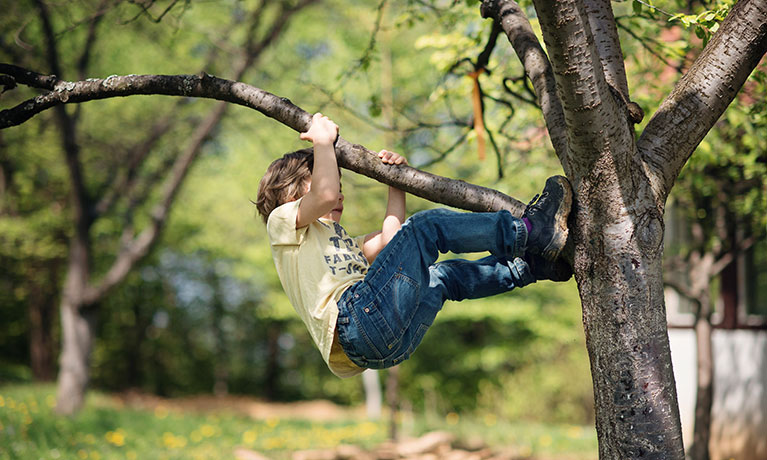 Child climbing a tree